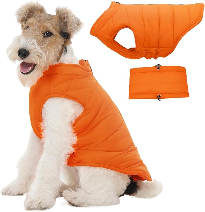 Dog Puffer Jacket with Detachable Neck Wrap for Small Dogs, Windproof Orange Dog Vest with Back Zipper, Winter Coat Fleece Elastic Band on Chest for Dogs, Bichon Frise, Chihuahua, Orange XS
