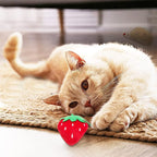 10 Pcs Catnip Toys for Indoor Cats Xmas Interactive Plush Stuffed Kitten Chew Bite Toys Kitty Cat