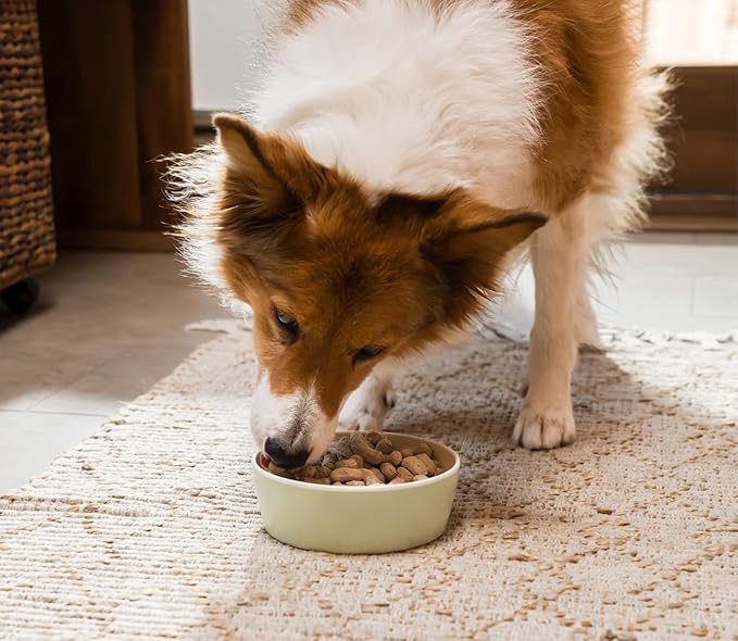 Open Farm, Freeze Dried Raw Dog Food, Morsels with 95% Meat, Organs & Bone, Organic Produce & Superfoods, Complete Meal or Freeze Dried Dog Food Topper, Pork Recipe, 13.5oz Bag