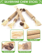 Silvervine Chew Sticks for Cats, 10 Pack Natural Catnip Chew Toys for Kittens Teeth Cleaning, Matatabi Dental Care, Increase Appetite, Calm Cat Anxiety and Stress, Aggressive Chewers Cat Dental Toy