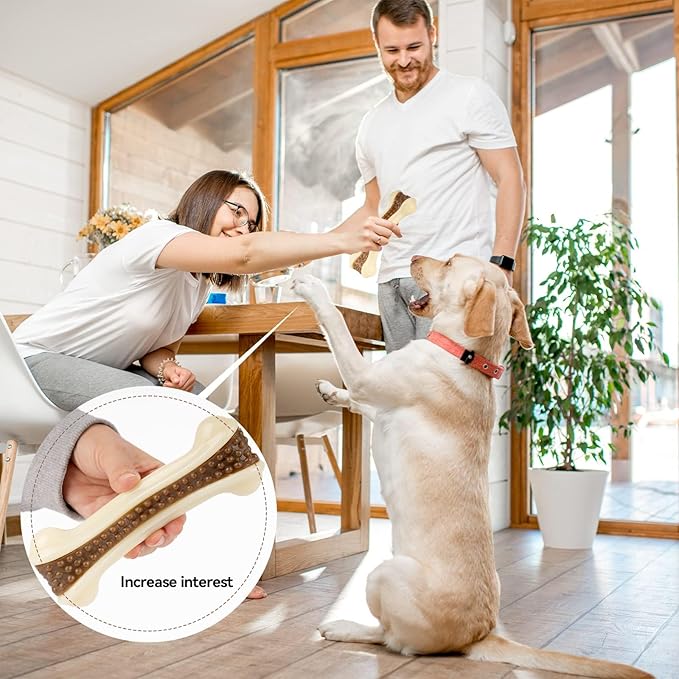 Dog Bones for Aggressive Chewers, 2 Pack Real Beef Flavor Puppy Teething Toys for Medium/Small Breeds, Nylon Durable Dog Chew Toys