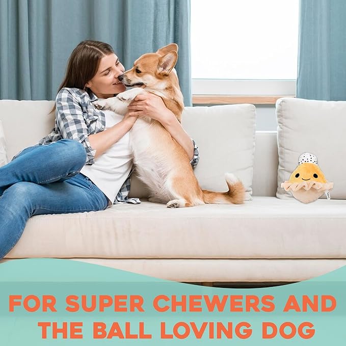 Flourish Pets 2 in 1 Multi-Layer Chew Toy for Active Dogs | Non-Toxic BPA Free Double Stitched Soft Fabric Exterior Dog Toys | Long-Lasting Dog Plush Toys – Pumpkin Pie