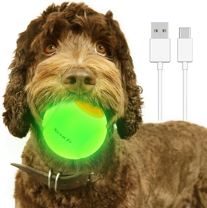 Light Up Dog Balls, LED Dog Toy Ball Rechargeable, Bounce-Activated Durable Fetch Ball Grow in The Dark, Night Glowing Toy, Natural Rubber, Color Changing LED, 2.5 inches-Orange