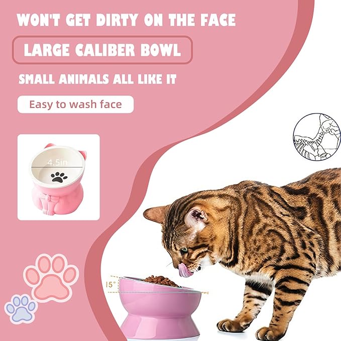 Ceramic Raised Cat Bowl - 5 Inch Tilted Design for Indoor Cats, Anti-Vomiting & Whisker Fatigue Relief, Non-Slip Base, Pink