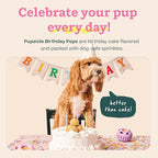 WOOF Pupsicle Birthday Pops - Healthy Dog Treats - Pre-Made Pupsicle Refills- Wholesome Ingredients - Naturally Sweet - Cake-Flavored Birthday Treat for Dogs - Large