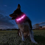 MASBRILL RGB Light Up Dog Collar - Flashing LED, Rechargeable, Water-Resistant, Glow Up Night Walking Collar for Small to Large Dogs