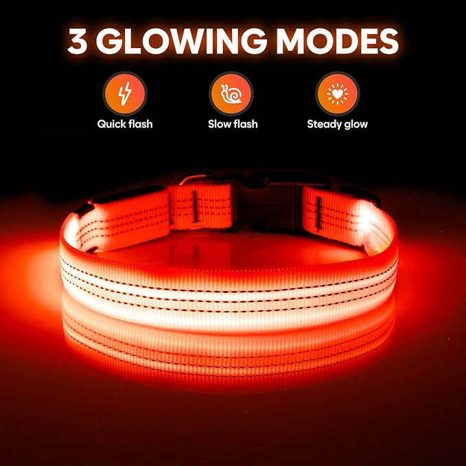 Illumifun USB Rechargeable LED Dog Collar, Light Up Dog Collar for Small Dogs, Reflective Adjustable Safety Dog Collar Lights for Night Walking (OrangeⅢ, Small)
