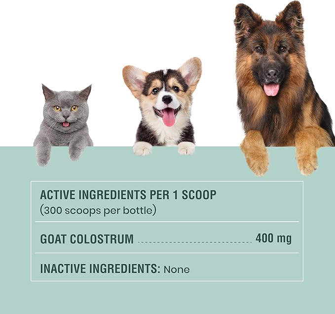 Special Breed Goat Colostrum for Dogs and Cats, Immune Support Supplement for Allergy and Itch Relief, Grass Fed Colostrum Powder - 300 Scoops