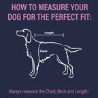 Doggie Design Venture Paw No Pull Dog Harness - Simple Adjustable Puppy Harness - Anti Pull Dog Collar for Walks and Outdoor Adventures - Mountain Lake, S