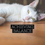 Fussie Cat Super Premium Canned Cat Wet Food - 12 Pack Cans Variety Bundle Pack W/HS Pet Food Bowl - (6 Flavors