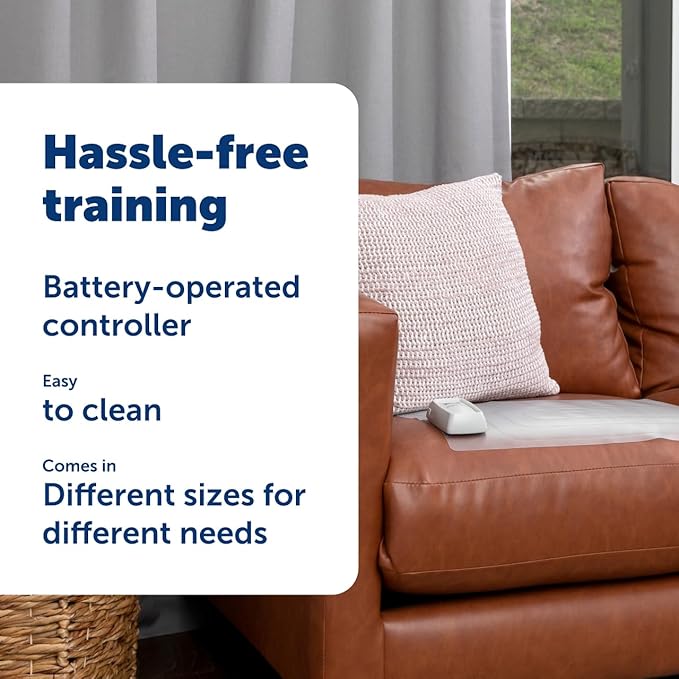 PetSafe ScatMat Indoor Training Mat