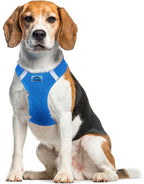DOGGIE DESIGN American River Solid Ultra Choke-Free Dog Harness - Cobalt Blue (X-Large)