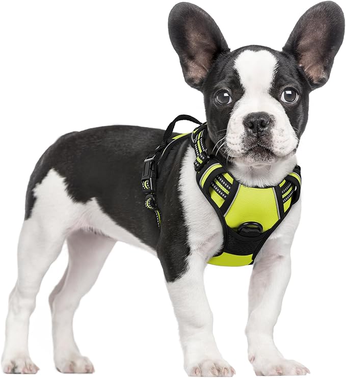 rabbitgoo Dog Harness No Pull with 2 Leash Clips, Adjustable Soft Padded, Reflective Oxford No Choke Pet Vest with Easy Control Handle for Small Dogs, Wild Lime,S