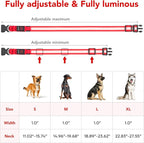 Vizpet LED Dog Collar, Light Up Dog Collar Adjustable USB Rechargeable Super Bright Safety Light Glowing Collars for Dogs(Large,Red)