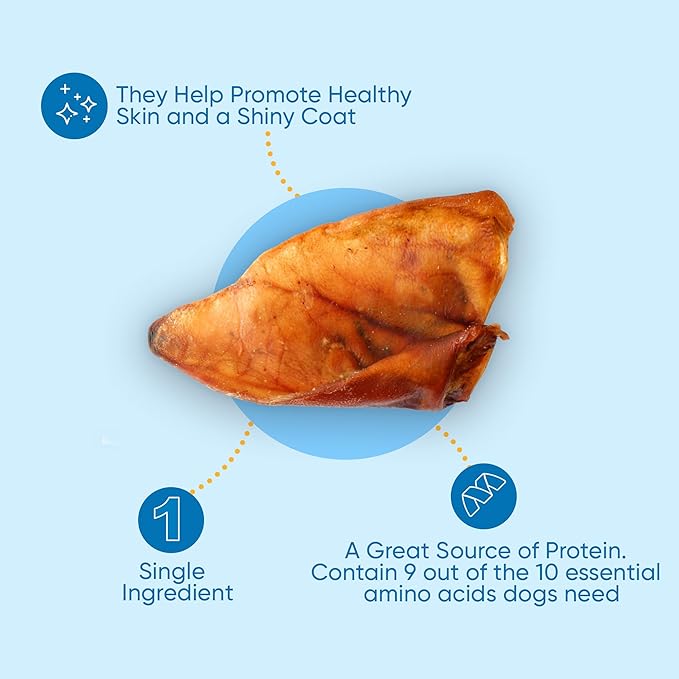 Whole Pig Ears for Dogs - (30 Count) 100% Natural, Long Lasting & Highly Digestible Chew Treats, Single Ingredient, Slow Baked, Great for Puppy, Large & Medium Dogs