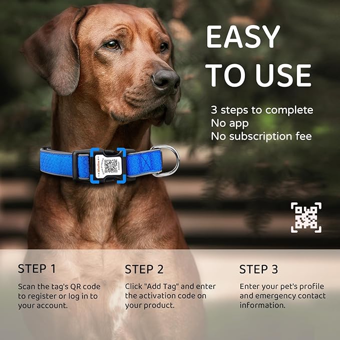 Personalized Dog Collar with QR Code tag for pet ID, Reflective Safety Collar, Suitable for Small, Medium, and Large Dogs (Blue, Large)