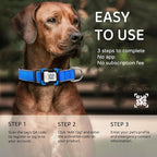 Personalized Dog Collar with QR Code tag for pet ID, Reflective Safety Collar, Suitable for Small, Medium, and Large Dogs (Blue, Large)