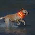 Illumifun USB Rechargeable LED Dog Collar, Light Up Dog Collar for Small Dogs, Reflective Adjustable Safety Dog Collar Lights for Night Walking (OrangeⅢ, Small)