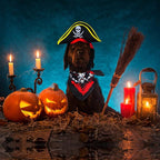 2 Pieces Skull Print Pet Pirate Hat with Pirate Skull Bandana Dog Cat Captain Cap Halloween Pirate Cosplay Costume Halloween Party Hat Dress Up Costume Accessories (C) One Size