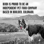 BIXBI Rawbble Freeze Dried Dog Food, Turkey Recipe, 4.5 oz - 96% Meat and Organs, No Fillers - Pantry-Friendly Raw Dog Food for Meal, Treat or Food Topper - USA Made in Small Batches