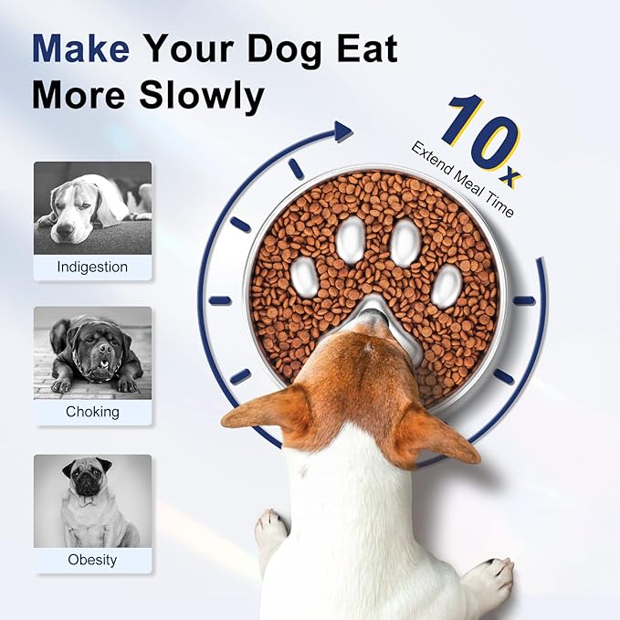 Slow Feeder Dog Bowls 304 Stainless Steel, 2 Cups Metal Food Bowls, Water Bowl for Small & Medium Sized Dogs, Fun Bloat Stop Pet Fast Eaters