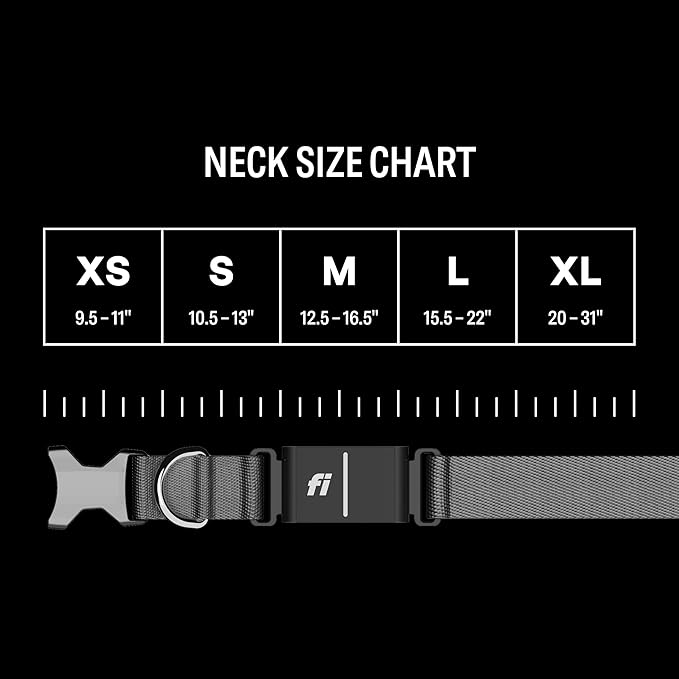 Fi Series 3+ Smart Dog Collar - GPS Dog Tracker and Activity & Fitness Monitor, Waterproof, LED Light, Escape Alerts, Nationwide Coverage [Free 6 Month Membership] (Gray, Extra Large)
