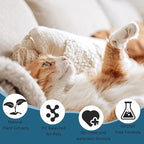 Pet Steam Brush Spray Refill for Dogs & Cats – Concentrated Waterless Shampoo, 3-in-1 Grooming Spray Comb Mist, 2*Shampoo(Steam Brush not Included)