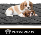 Tindbea Dog Mat for Muddy Paws 20"x31.5" Absorbs Moisture Dirt Non-Slip Washable Mud Mat for Dogs,Soft Rubber Backing Front Inside Pet Rug for Entryway, Mud Dog Paws, Patio(Charcoal)