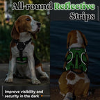 rabbitgoo Escape Proof Dog Harness, Soft Padded Full Body Pet Harness, Reflective Adjustable No Pull Vest with Lift Handle and Lesh Clip for Large Dogs Walking Hiking Training, S, Green