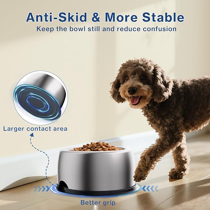 304 Stainless Steel Dog Bowls, Heavy Duty Dog Food Bowl with Extra Strong Non-Slip Mat, Thick Metal Base Water Bowl with Lick Mat for Small, Medium, Large Dogs, Indoor/Outdoor (19.8 oz)