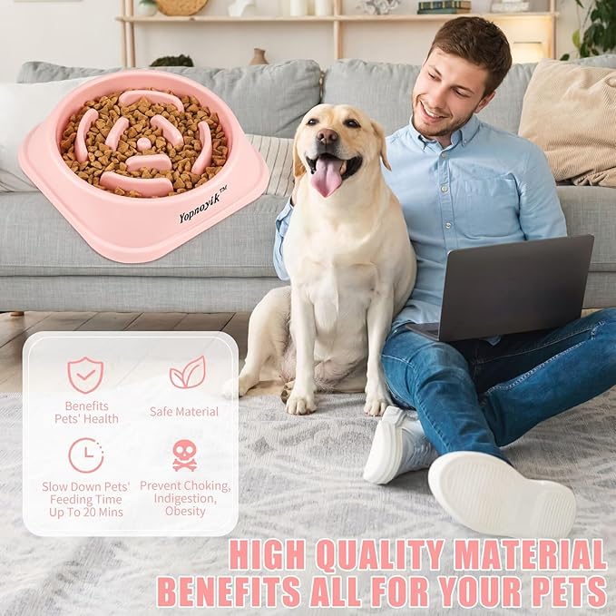 Slow Feeder Dog Bowls for Healthy Eating, Non-Slip and Anti-Choking Design, Reduces Bloating & Overeating for Medium Dogs and Cats, Easy to Clean