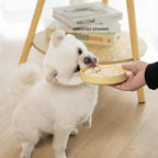 MON2SUN Freeze Dried Chicken Cat and Dog Treats, Single Ingredient Natural and Healthy Dog Snacks, High Protein Training Treats & Food Topper, 6oz