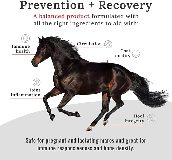 10# Mojo Horse Suppment with Food-Grade Mojo Dog and Cat Supplement