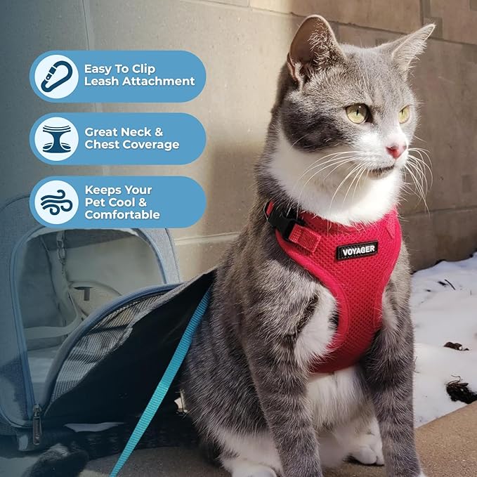 Voyager Escape-Proof Step-in Lock Cat Harness & 5ft Neoprene-Handle Leash Set All-Weather Mesh with Reflective Stitching for Small to Large Cats by Best Pet Supplies, Red, XXXS