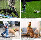 Plutus Pet Reflective Martingale Collar with Buckle - Durable and Adjustable Training Collar for No Pulling, Dog Choker Collar for Small Medium Large Dogs, Bright Green, S