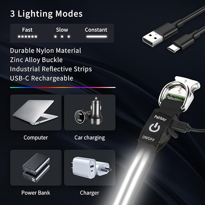 LED Dog Collar with Metal Buckle - USB Rechargeable Glow Collar for Dogs, Waterproof Light Up Dog Collar w/Reflective Strips - Adjustable Night Safety Collars by PetIsay(White,Medium)