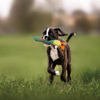 Nocciola 2 in 1 Duck Dog Toy with a Large Rubber Squeaker - Durable Stuffed Squeaky Crinkle Chew Toys for Aggressive Chewers, Medium and Large Breeds