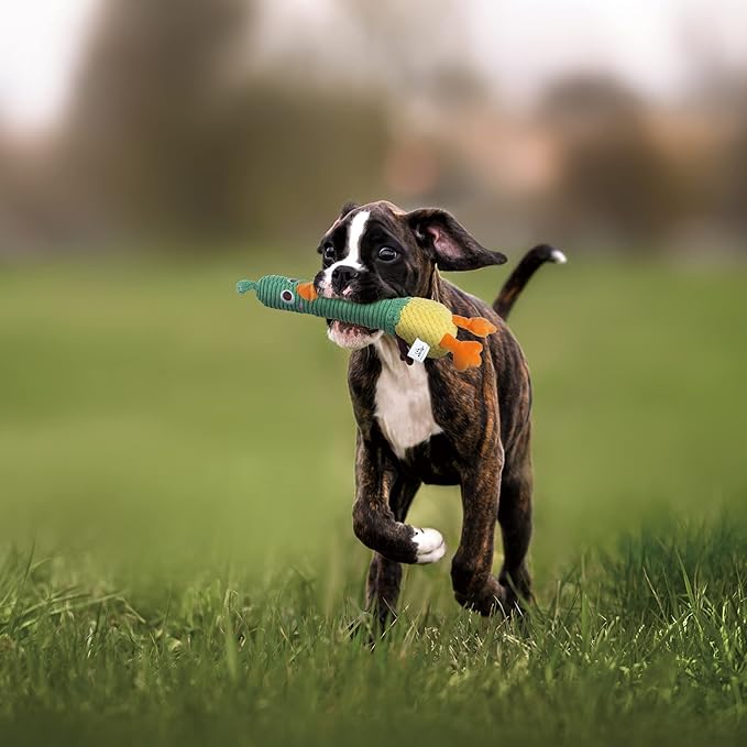 Nocciola 2 in 1 Duck Dog Toy with a Large Rubber Squeaker - Durable Stuffed Squeaky Crinkle Chew Toys for Aggressive Chewers, Medium and Large Breeds