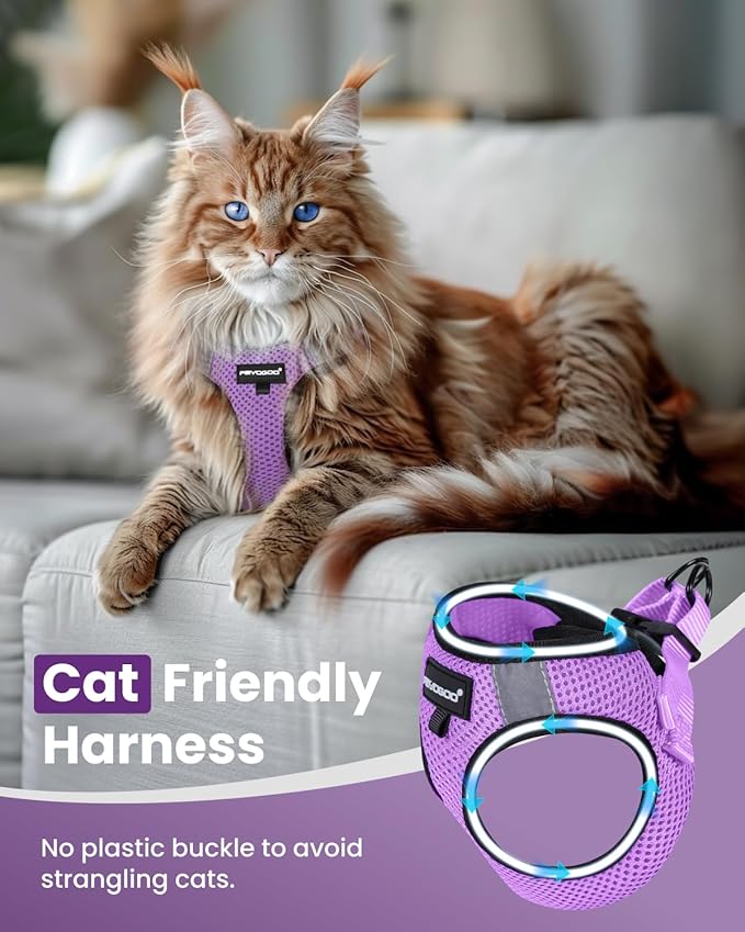 FAYOGOO Cat Harness, Cat Leash and Harness Set for Walking Escape Proof, Harness for Small Cats/Small Dogs, Large Kitten/Puppy Harness and Leash, Harness for Cats S-XXL(Modern Violet, Large)