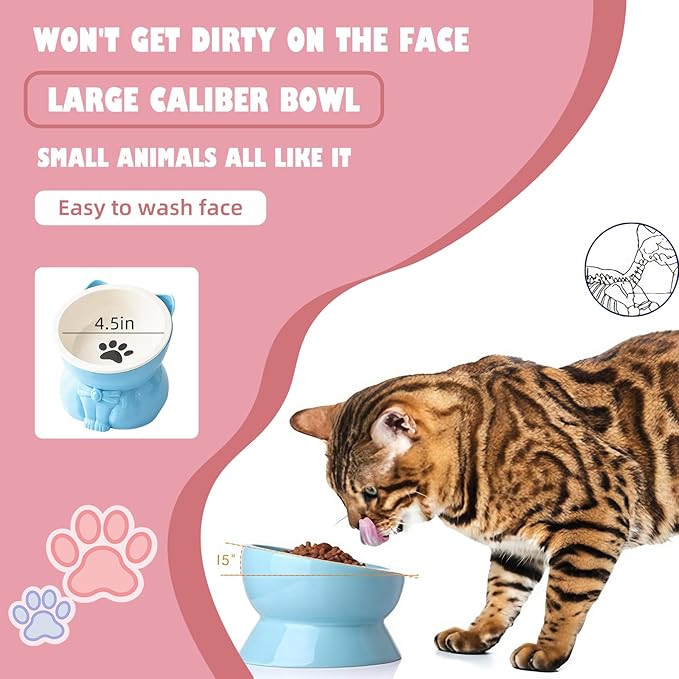 Ceramic Raised Cat Bowl 5 Inch - Tilted Anti-Vomiting & Whisker Fatigue Relief for Indoor Cats, Elevated Food Bowl for Small Dogs & Kittens, Blue