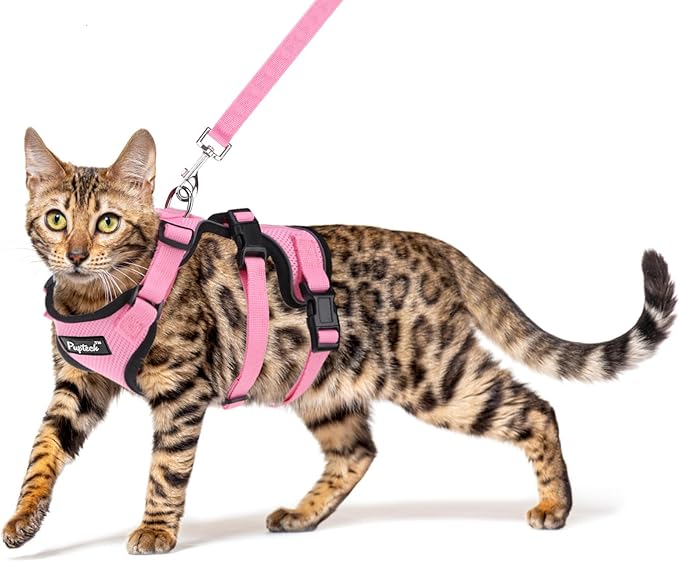 PUPTECK Cat Harness and Leash Set Escape Proof for Walking, Breathable Mash Vest Adjustable Harness for Cats Puppy Small Animals, Reflective at Night, Pink Small