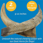 123 Treats Goat Horns for Dogs Chews 9-11 inches (2 Count - Large) 100% Natural Long Lasting chew for Dogs