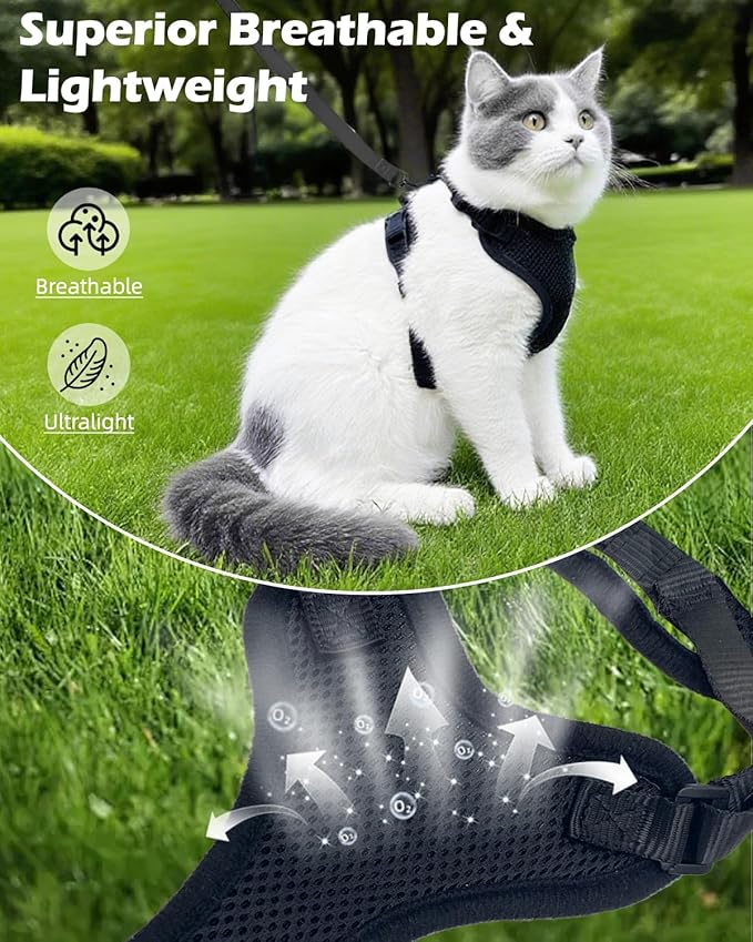 Luxelle 2 Pack Escape-Proof Cat Harness and Leash Set for Walking – Adjustable No Pull Soft Vest with Easy-Wear Buckle, Reflective Straps, Breathable Mesh – Outdoor Travel Harness for Cats & Kittens