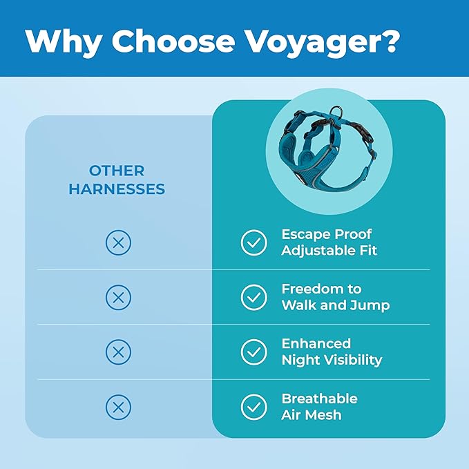 Voyager Escape-Proof Step-in Lock Cat Harness & 5ft Neoprene-Handle Leash Set All-Weather Mesh with Reflective Stitching for Small to Large Cats by Best Pet Supplies, Turquoise (327), XS