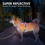 PHOEPET No Pull Dog Harness, Unique Colors Reflective Adjustable Dog Vest, with Soft Training Handle Metal Clips for Small Medium Large Dogs (Baby Pink Base & Grey Straps,M)