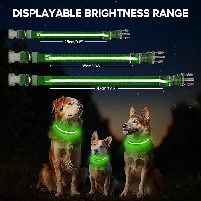Light Up Dog Collar, Adjustable USB Rechargeable Glow in Dark Dog Collar ，Waterproof Dog Collars for Small Dogs (Green, Small)