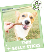 Nature Gnaws Thin Bully Sticks for Dogs 5-6" (8oz) - Mixed Thickness - Long Lasting for Small Dogs and Puppies - Natural Thin Beef Dog Chew Bones - Rawhide Free