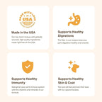 YOUR PET'S KITCHEN Wet Dog Food, Chicken Pot Pie Recipe - 13.2 oz Cans (Pack of 6), Made in The USA with Real Chicken