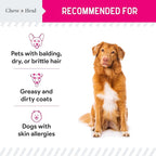 Omega 3 Powder for Dogs - 14 oz of Dog Powder Supplement for Skin and Coat - Made with Omega 3, 6, and 9 Fatty Acids, Biotin, and Vitamin C - Made in The USA