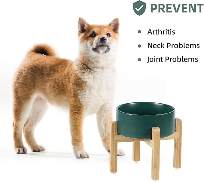 Ceramic Elevated Dog Bowl Set, Food and Water Bowl for Medium Dogs, Weighted Dishes, Green (7.3'', 41OZ)